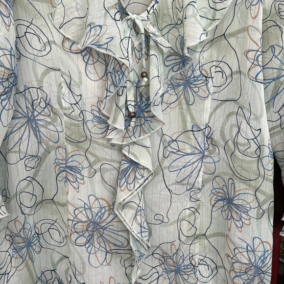 Dress Barn Sheer Blouse, size XL - Picture 4 of 11